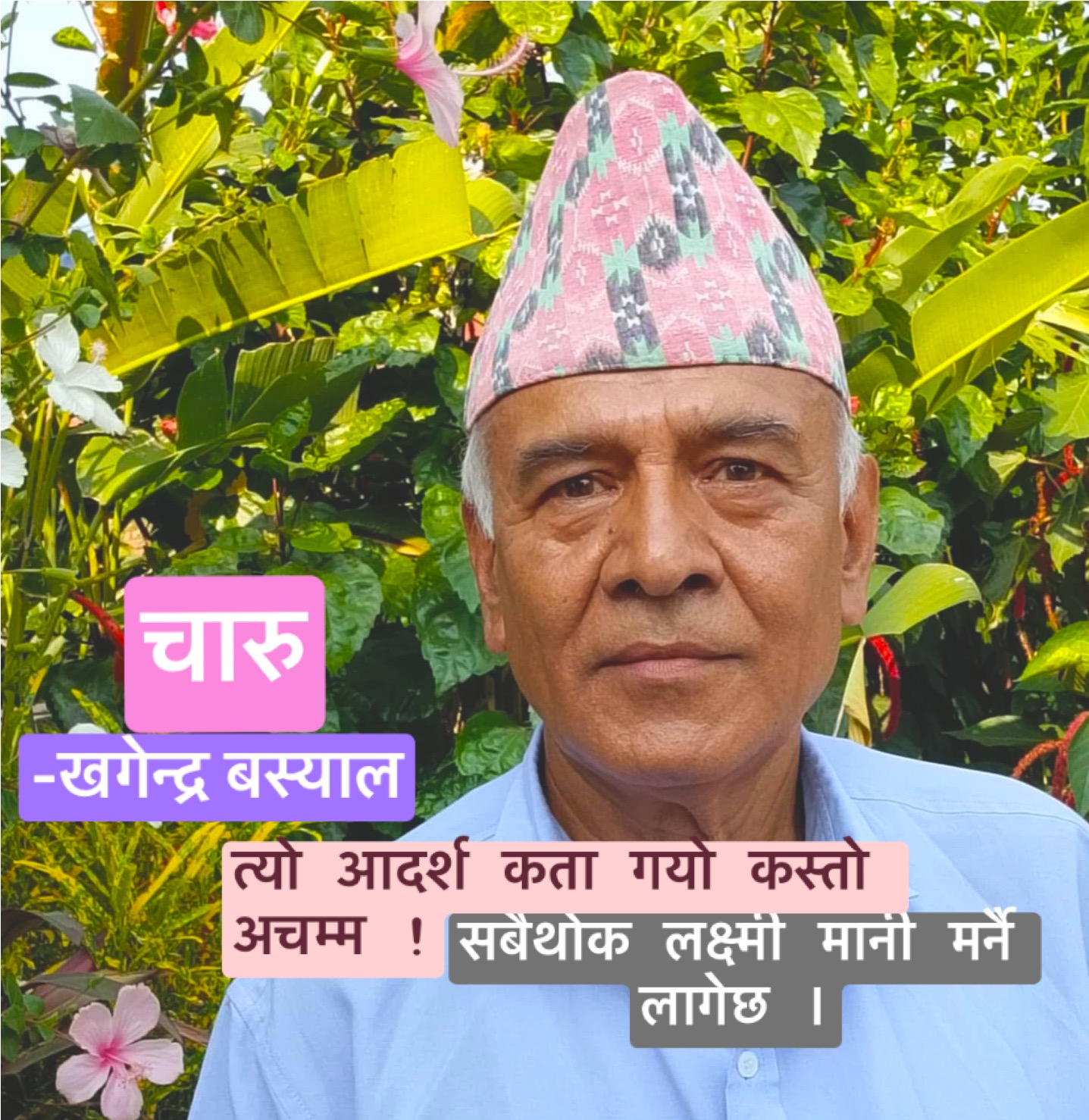 चारु
